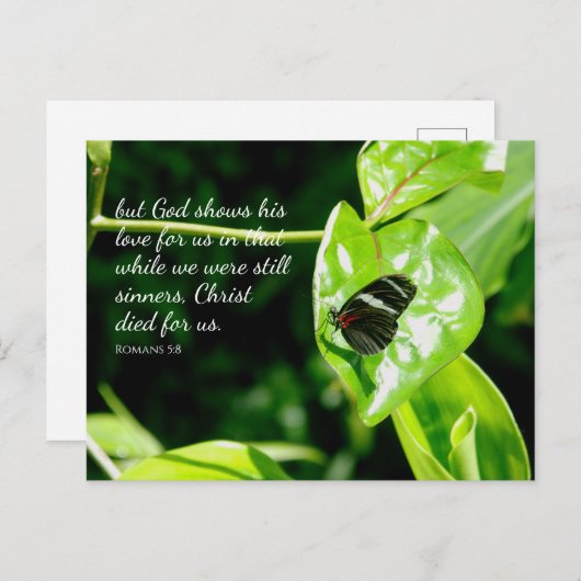 Romeinen 5:8 Vlinderblad Briefkaart (Voorkant / Achterkant)