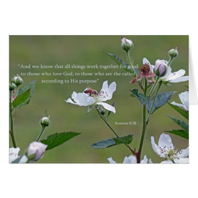 Romeinen 8:28 (Voorkant Horizontaal)