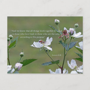 Romeinen 8:28 briefkaart