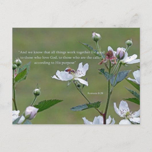 Romeinen 8:28 briefkaart (Voorkant)