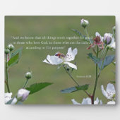 Romeinen 8:28 fotoplaat (Voorkant)