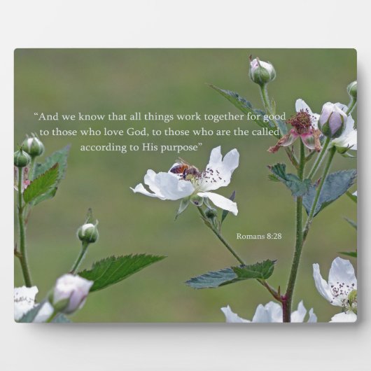Romeinen 8:28 fotoplaat (Voorkant)