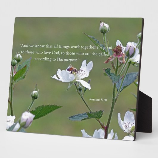 Romeinen 8:28 fotoplaat (Zijkant)