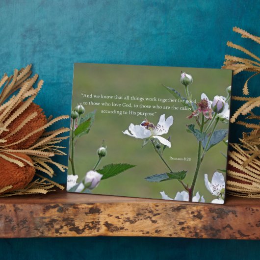 Romeinen 8:28 fotoplaat (Zijkant)