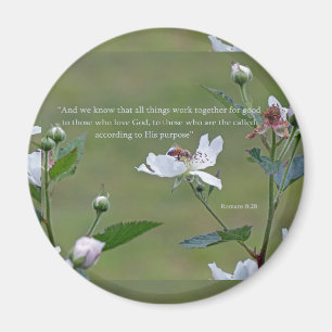 Romeinen 8:28 magneet