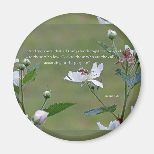 Romeinen 8:28 magneet (Voorkant)