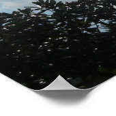 Romeinen 8:31 Als God voor ons is... Poster (Hoek)