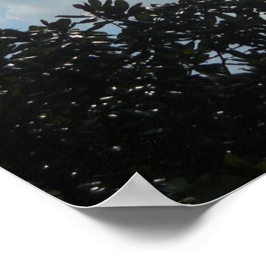 Romeinen 8:31 Als God voor ons is... Poster (Hoek)