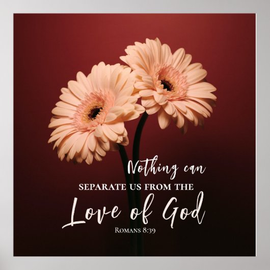 Romeinen 8 39 Liefde van God Bijbel Verse Roze Bru Poster (Voorkant)