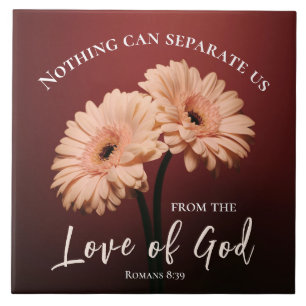 Romeinen 8 39 Liefde van God Bijbel Verse Roze Bru Tegeltje