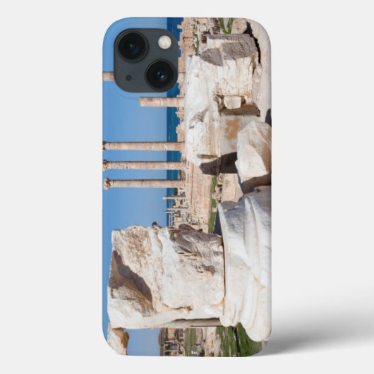 Romeins Forum en overblijfselen van standbeeld, Sa Case-Mate iPhone Case (Achterkant)