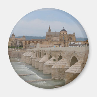 Romeinse brug - Cordoba, Spanje - Magneet