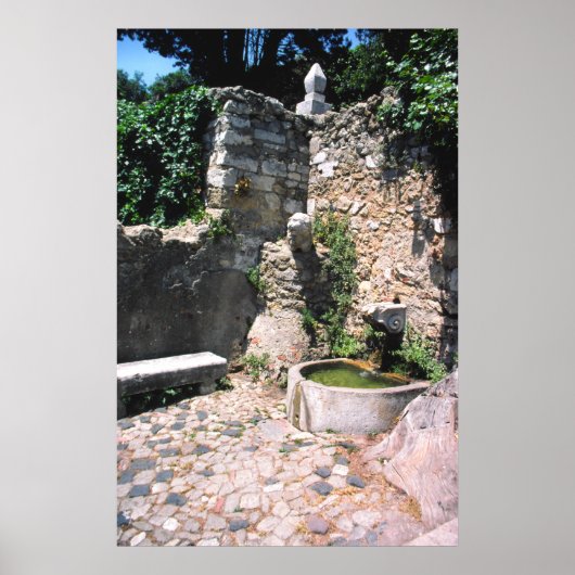 Romeinse fontein, Castello St. George, Alfama, Por Poster (Voorkant)