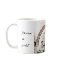 Romeinse fontein grappig citaat