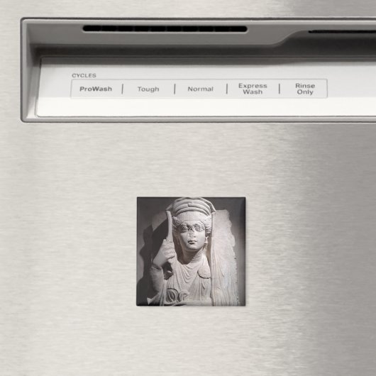 Romeinse graafmerker magneet (Insitu (Vaatwasser))