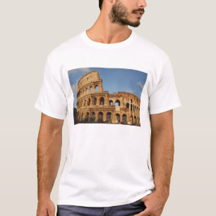 Romeinse Kunst. Het Colosseum of Flavisch 4 T-shirt