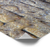 Romeinse typografie op het Forum, Rome, Italië Poster (Hoek)