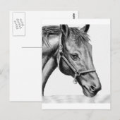 Romeo Briefkaart (Voorkant / Achterkant)