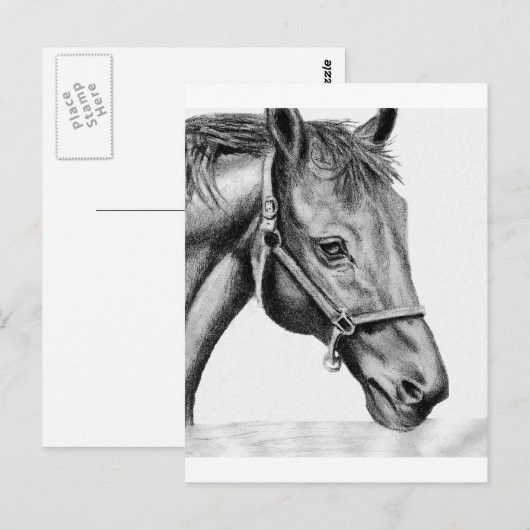 Romeo Briefkaart (Voorkant / Achterkant)