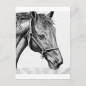 Romeo Briefkaart (Voorkant)