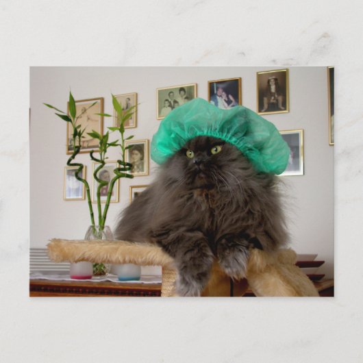 Romeo Briefkaart (Voorkant)