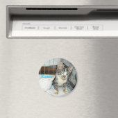 Romeo cirkel magneet (Insitu (Vaatwasser))