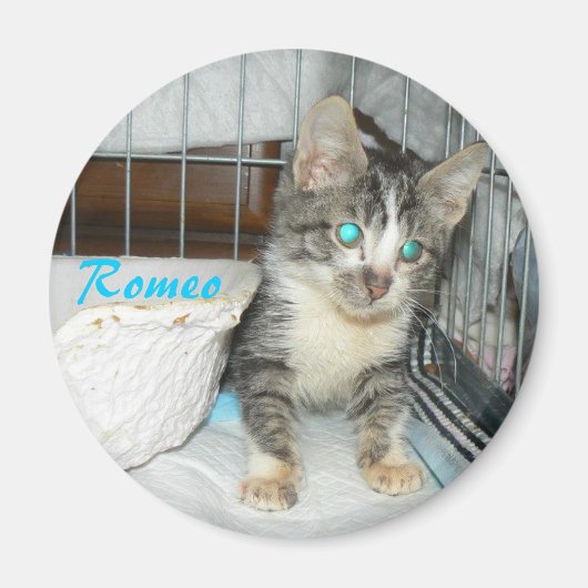 Romeo cirkel magneet (Voorkant)