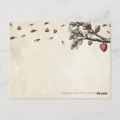 Romeo & Juliet - Peacock versie Briefkaart (Achterkant)