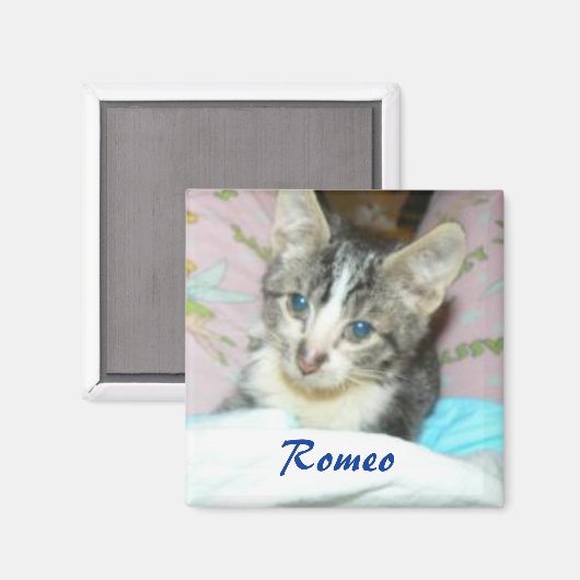 Romeo magneet (Voorkant / Achterkant)