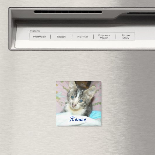 Romeo magneet (Insitu (Vaatwasser))