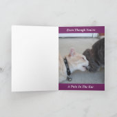 Romeo & Russ The Cats I'm Glad We re Friends..Card Kaart (Binnen)