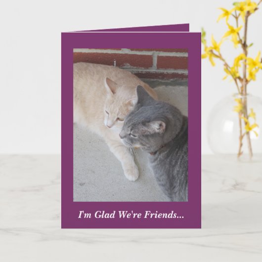 Romeo & Russ The Cats I'm Glad We re Friends..Card Kaart (Gele Bloem)