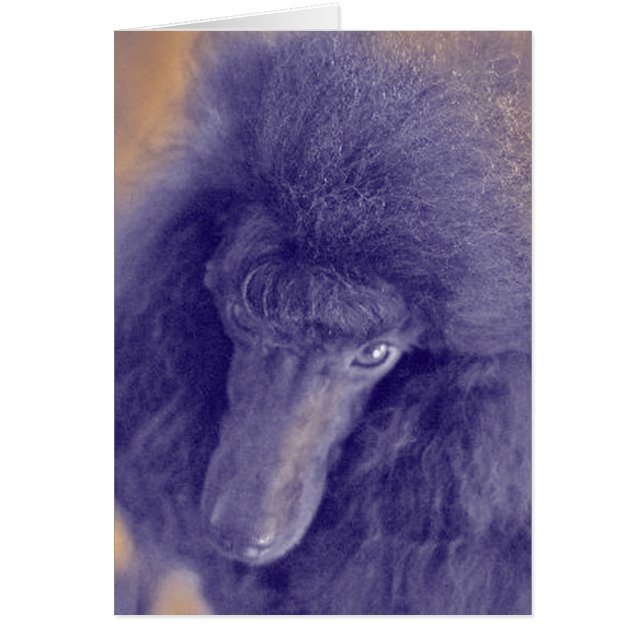 Romey's kaart (Voorkant)