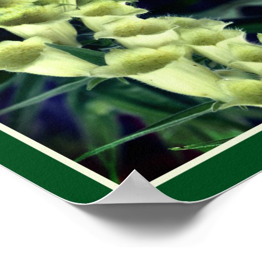 Romige Foxglove Flowers Mirror Abstract Poster (Hoek)