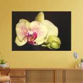 Romige orchideeënbloem canvas afdruk (Insitu (Woonkamer))