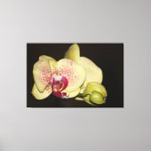 Romige orchideeënbloem canvas afdruk (Voorkant)