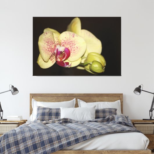 Romige orchideeënbloem canvas afdruk (Insitu (Slaapkamer))