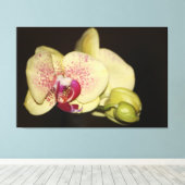Romige orchideeënbloem canvas afdruk (Insitu (Houten vloer))