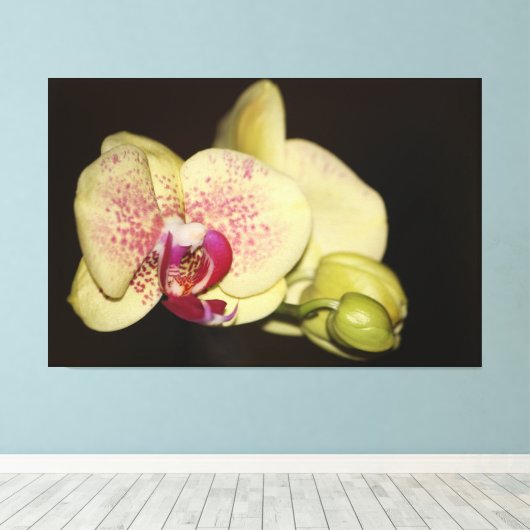Romige orchideeënbloem canvas afdruk (Insitu (Houten vloer))