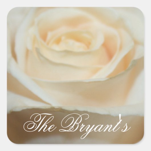 Romige witte roos Stickers Sjabloon (Voorkant)