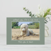 Rommel zonder je hond mis je Kaart (Staand voorkant)