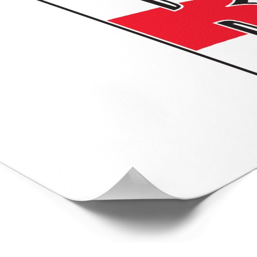 Romney en Ryan Poster (Hoek)