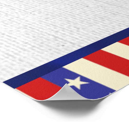 Romney Hood Poster (Hoek)