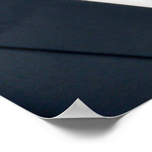 Romney-Ryan 2012 Poster (Hoek)