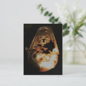 romp briefkaart (Staand voorkant)