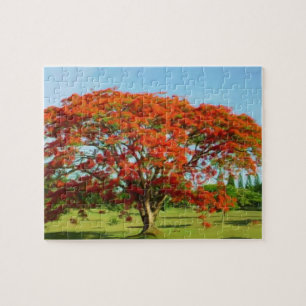 Rompecabeza Flamboyán/Royal Poinciana Puzzle Legpuzzel