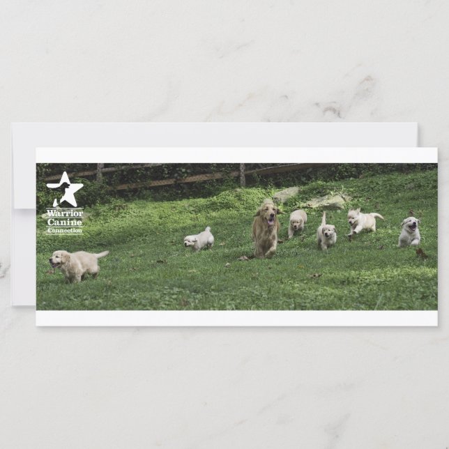 Romping "bladwijzer" (Voorkant)