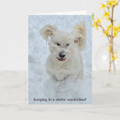 Romping Dog in een winter wonderland Vakantie Kaart (Gele Bloem)