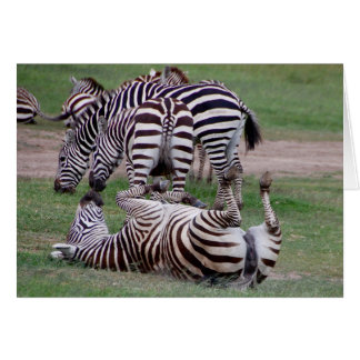 Romping Over