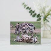 Romping Over Briefkaart (Staand voorkant)
